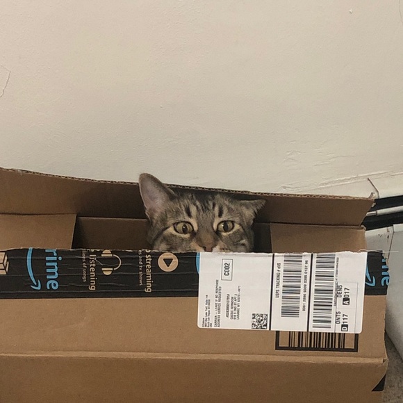 Moving sale! - Picture 1 of 1